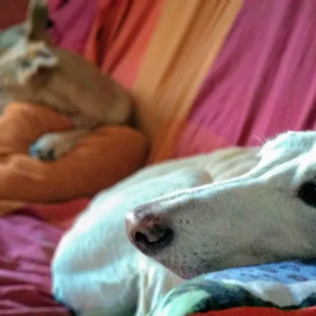 Tierra Y Madera