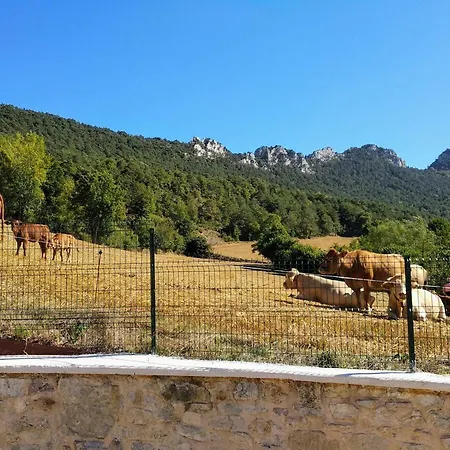 Tierra Y Madera Landhuis