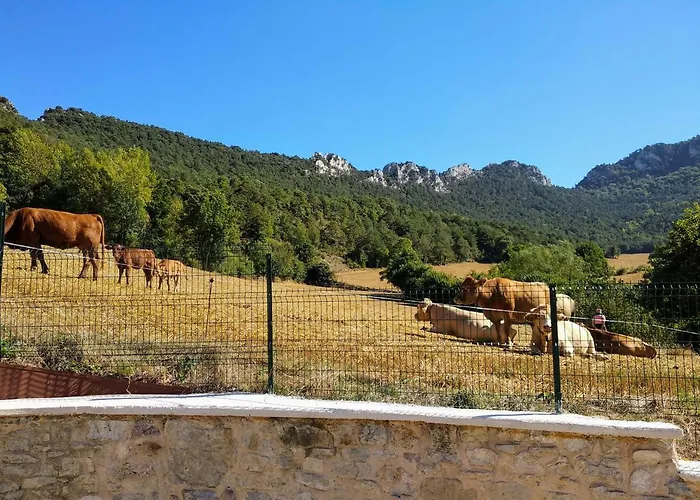 Tierra Y Madera Landhuis